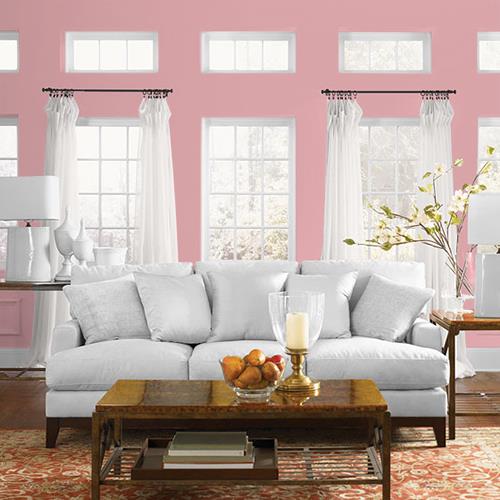 Crevette rose 6055-41 